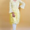 Chiffon Straight Kurti 100013